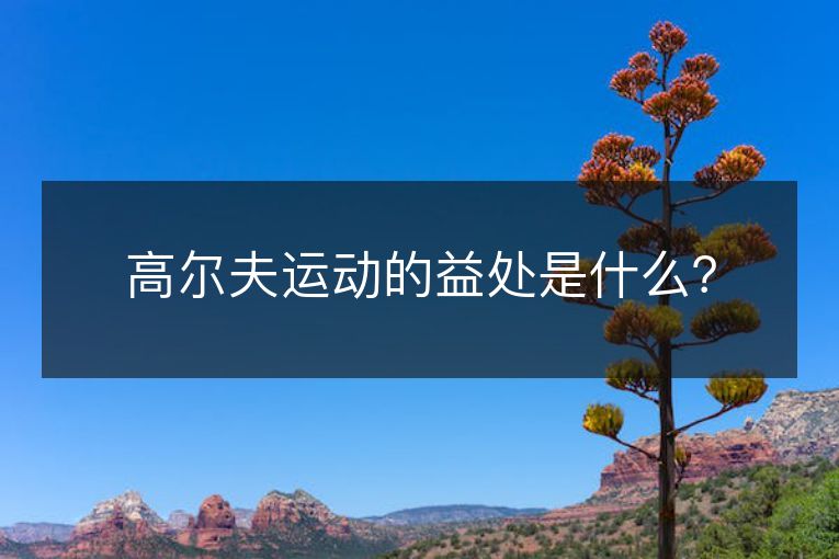 高尔夫运动的益处是什么? 高尔夫运动的益处是什么?